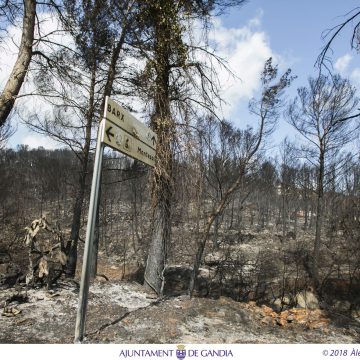 Ajudes per a l’incendi d’agost: Gandia 1,8 milions, Llutxent 71.000 euros i Pinet 78.000