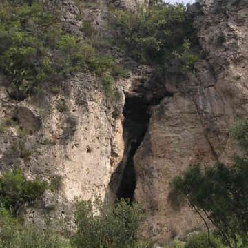 Gandia porta als turistes en bus a conèixer una cova protegida per la UNESCO