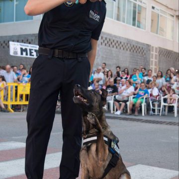 Dos policies locals de Gandia posen a disposició els seus gossos per a crear una unitat canina