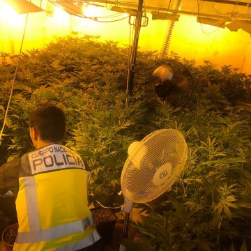 La Policia Nacional desmantella un laboratori dedicat al cultiu de marihuana i deté a tres persones a Daimús