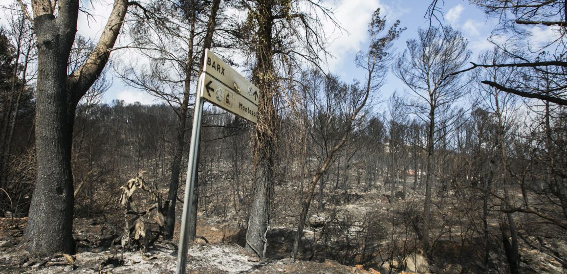Els damnificats per l’incendi de Marxuquera poden  sol·licitar ajudes fins al 30 de setembre