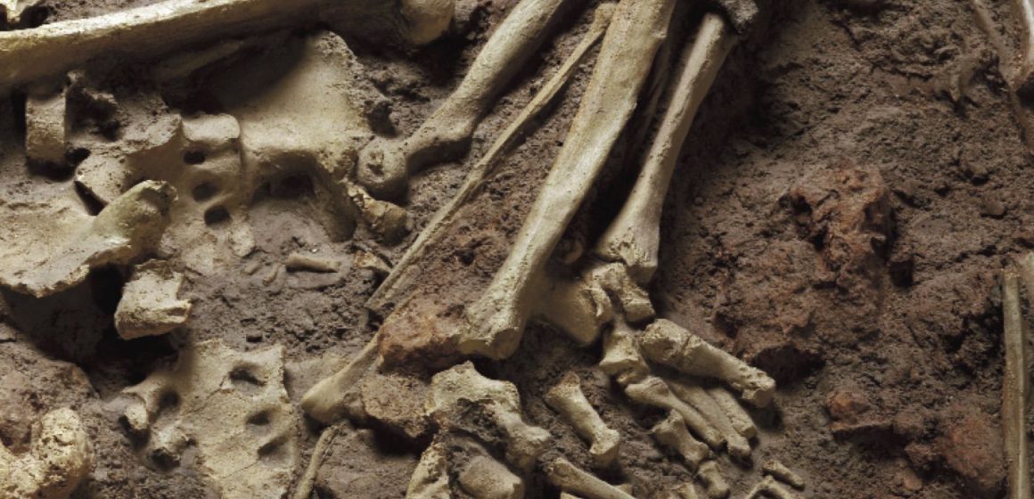 Cullera acull una exposició sobre la mort en la prehistòria