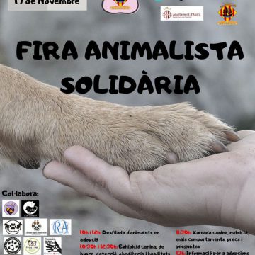 Alzira celebra la Fira Animalista Solidària