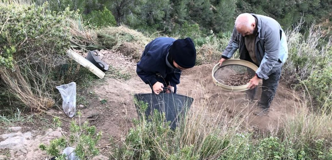 Xativa busca restes neolítiques al jaciment del Barranc Fondo