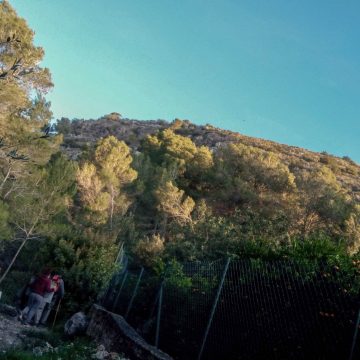Ròtova recupera la senda botànica del barranc d’Atanasi amb la col·laboració del Centre Excursionista