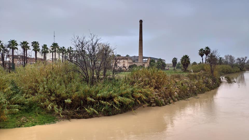 Alzira demana un Pla de Conca per evitar noves inundacions