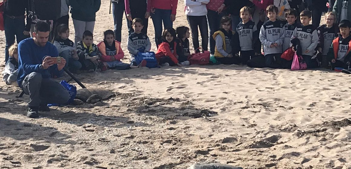 Escolars d’Ontinyent participen de la solta d’una tortuga a València