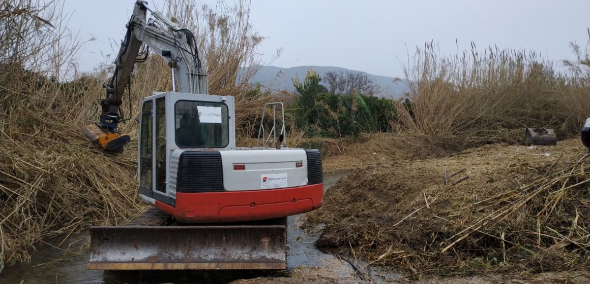Benifairó inicia la segona fase d’eliminació de la canya al Riu Vaca