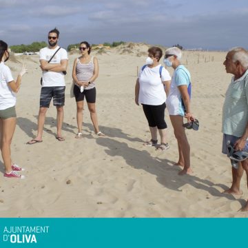 Oliva acull una jornada per a sensibilitzar sobre la presència del corriol a les platges