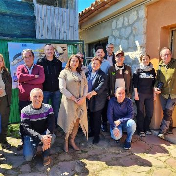 La Generalitat reconeix el paper dels caçadors en el projecte de reintroducció de l’àguila pescadora al Parc Natural de la Marjal de Pego-Oliva