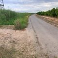 Alzira retorna 400.000 euros cobrats d’IBI rústic a afectats per la DANA