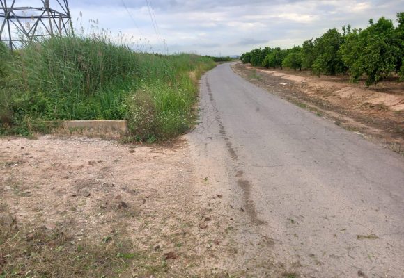 Alzira retorna 400.000 euros cobrats d’IBI rústic a afectats per la DANA